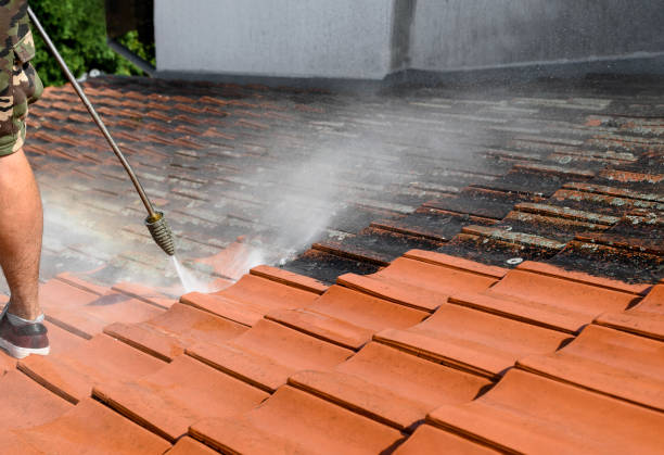 Webster, TX Pressure Washing Pros