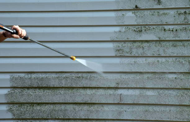Deck Cleaning Services in Webster, TX