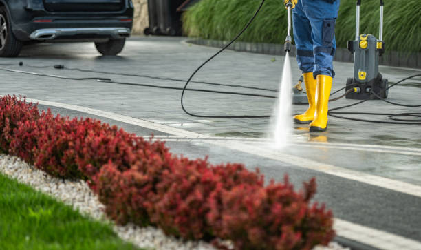 Best Pressure Washing Services Near Me  in Webster, TX