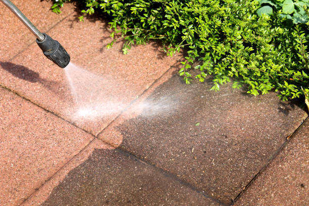 Best Roof Power Washing Services  in Webster, TX